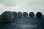 thm005_001_01.jpg
