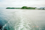 thm008_007_07.jpg
