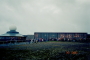 thm010_006_06.jpg